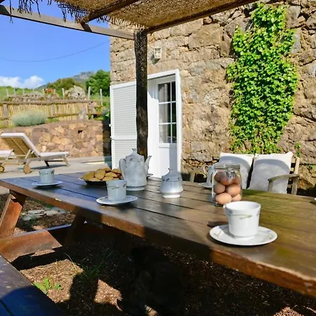 別荘 Maison En Pierre Authentique - Piscine - Nature Vico