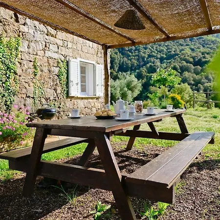 Maison En Pierre Authentique - Piscine - Nature 別荘 Vico