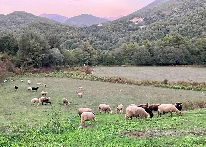 Particasgiu - Agritourisme Vico