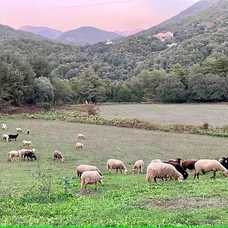 Agritourisme - Maison En Pierre * Vico