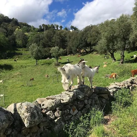 Agritourisme - Maison En Pierre
