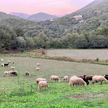 Agritourisme - Maison En Pierre Vico