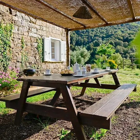 Agritourisme - Maison En Pierre Ferienhaus Vico