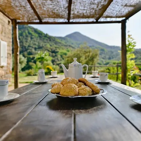 Agritourisme - Maison En Pierre