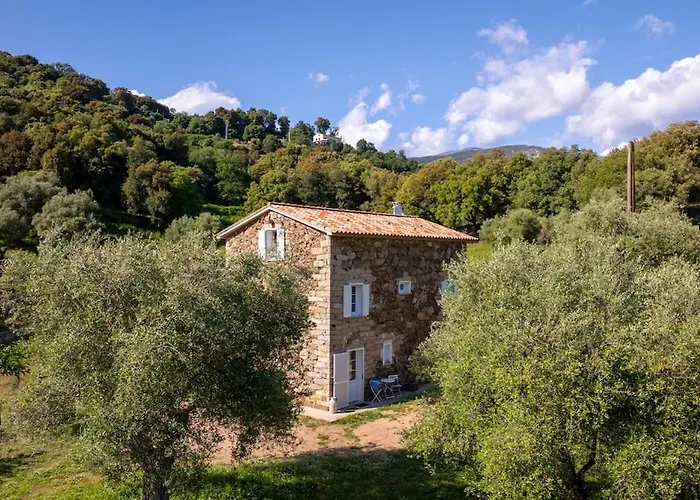 Particasgiu - Agritourisme Holiday home