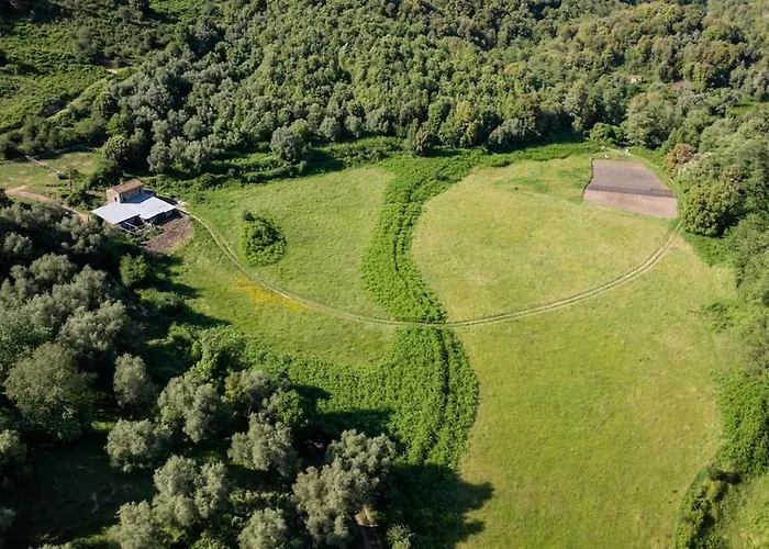 Holiday home Particasgiu - Agritourisme *