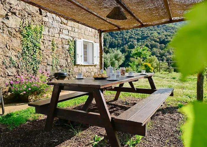 Particasgiu - Agritourisme Holiday home Vico