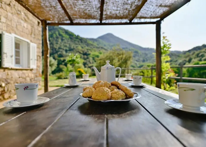 Particasgiu - Agritourisme